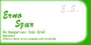 erno szur business card