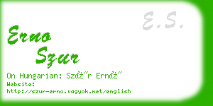 erno szur business card